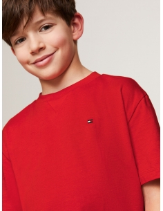 ESSENTIAL FLAG EMBROIDERY... 2