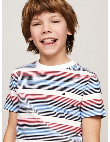 SIGNATURE STRIPE CREW NECK T-SHIRT