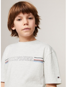 HILFIGER MONOTYPE STRIPE... 2