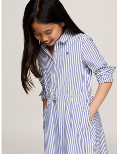 Ithaca Stripe Shirt Dress 2
