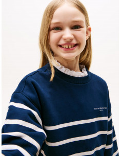 Gender Inclusive Stripe... 2