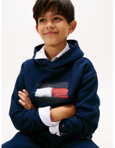 Hilfiger Flag Hoody 2