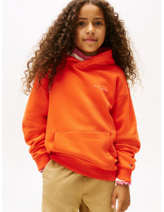 Logo Regular Fleece Hoody 2