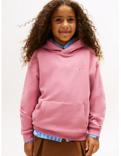 Logo Regular Fleece Hoody 2