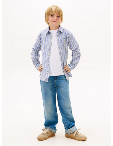 Festive Regular Fit Stripe Oxford Shirt