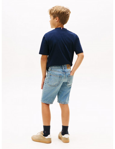 Faded Regular Straight Leg Denim Shorts