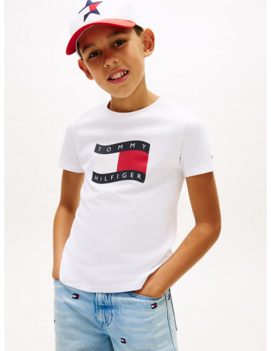 Wavy Flag Jersey Crew Neck T-Shirt