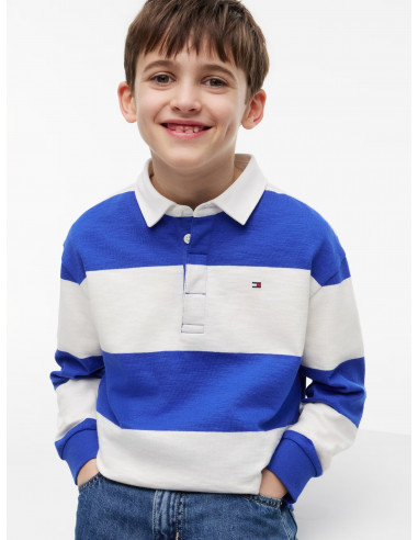 Regular Fit Stripe Long Sleeve Polo