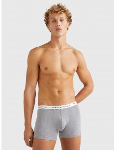 ICONS LOGO WAISTBAND TRUNKS 2