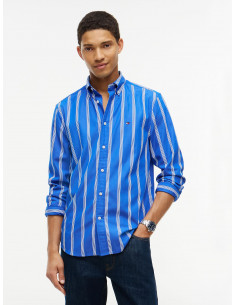 Regular Fit Spaced Stripe...