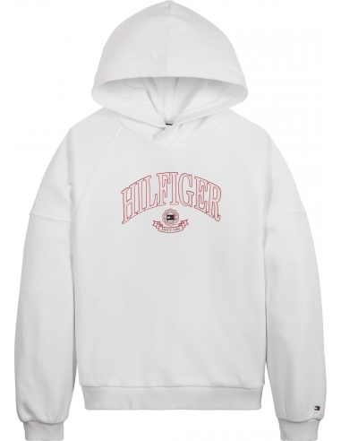 HILFIGER VARSITY HOODIE