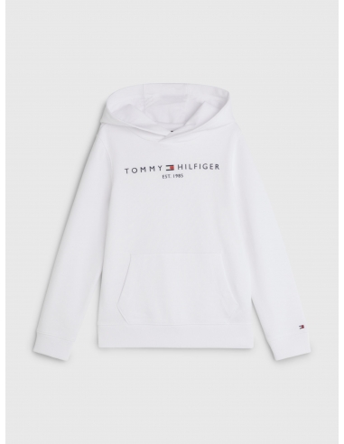 ESSENTIAL LOGO TERRY HOODY