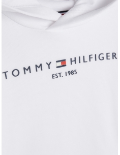 ESSENTIAL LOGO TERRY HOODY 2