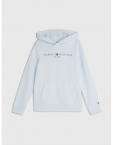 ESSENTIAL LOGO TERRY HOODY