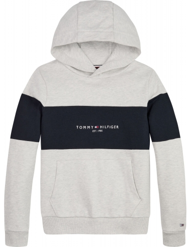 ESSENTIAL COLORBLOCK HOODIE