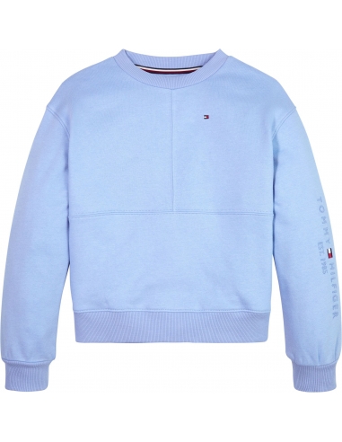 TH ESTABLISHED FLAG EMBROIDERY SWEATSHI