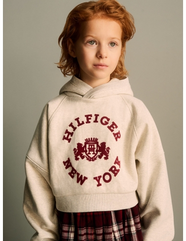 VARSITY CROPPED RELAXED HOODY SWEATSHIR